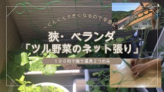 ベランダ 上からつるせば簡単早い ツル野菜のネット張り まくわうりとカボッキーの成長 Youtube ベランダ 上からつるせば簡単早い ツル野菜のネット張り まくわうりとカボッキーの成長 Youtube