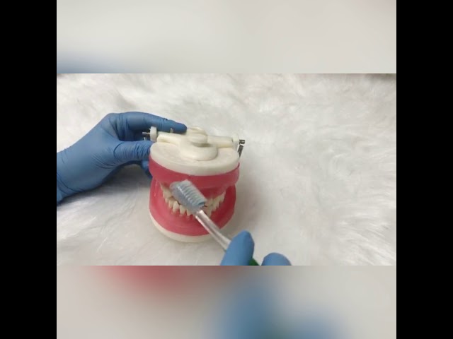 Escovação correta
(VÍDEO VOLTADO PARA CRIANÇAS)