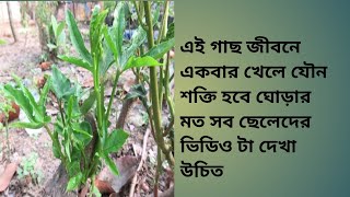লিঙ্গ হবে লোহার মত শক্ত। যৌন রোগের শেষ্ঠ ওষুধ। screenshot 5
