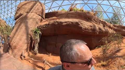 The Great Omaha Zoo, Nebraska - 3D 8k 360 VR Headset