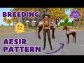 Breeding a Friesian 🐎 with Aesir pattern 🌀 in Star equestrian 🫠 [31]