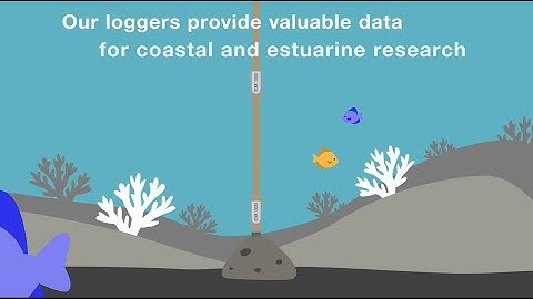 Star-Oddi Loggers | Want to collect environmental data?