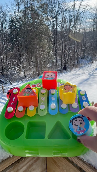 SuPer Fun Shape Sorter Xylophone trenD