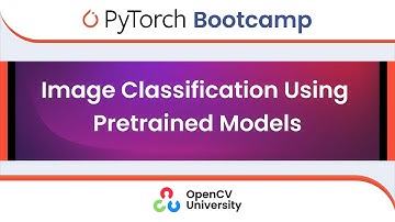 Pytorch Bootcamp for Beginners - 4 | Image Classification Using Pretrained Models