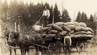 Vintage pictures of horse drawn wagons from days long gone by.