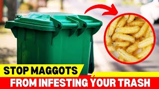 How to Manage A Trash Can Maggot Infestation