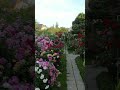 beautiful walking garden!! #garden #gardendelight #gardening #gardeningflowers