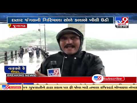 Tourists arrive at Willingdon Dam to enjoy natural scenery amid rain showers in Junagadh | TV9News