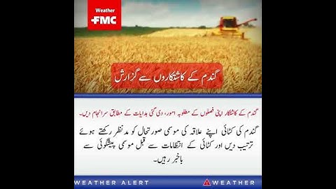 FMC Weather Forecast