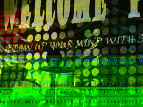 khayalan- the groove ( solagratica )
