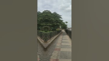 snapseed photo editing short videoGlow effect#mobilephotography #snapseed#nature#youtubeshorts#viral