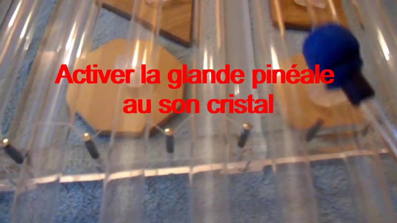 Activer la glande pinéale avec une harpe de cristal