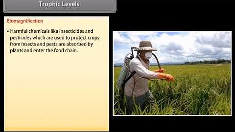 Chapter 13  : Our Environment : standard 10 Science : One shot