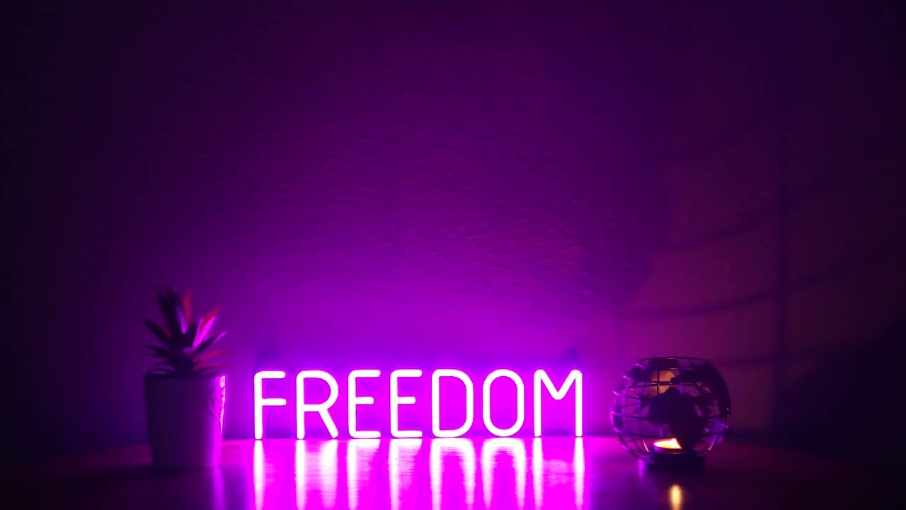 Freedom LED Neon Sign