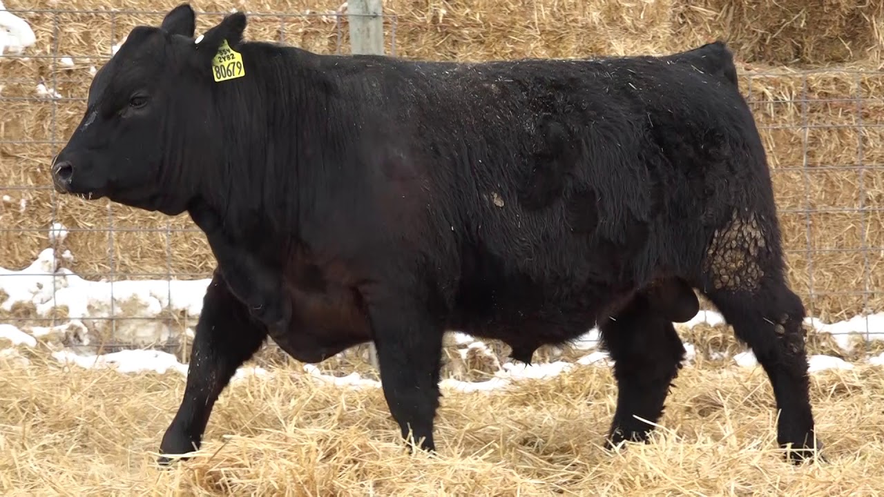 camera iphone 8 plus apk 219