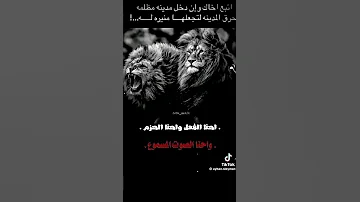 واحدنا بعشره من الزلم عدي الزاغه 