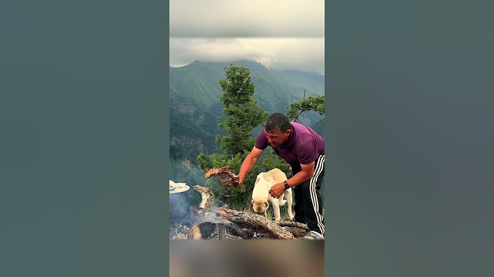 The Best Beef Ribs Ever Cooked in Wilderness Mountain Kitchen 🍖🤤