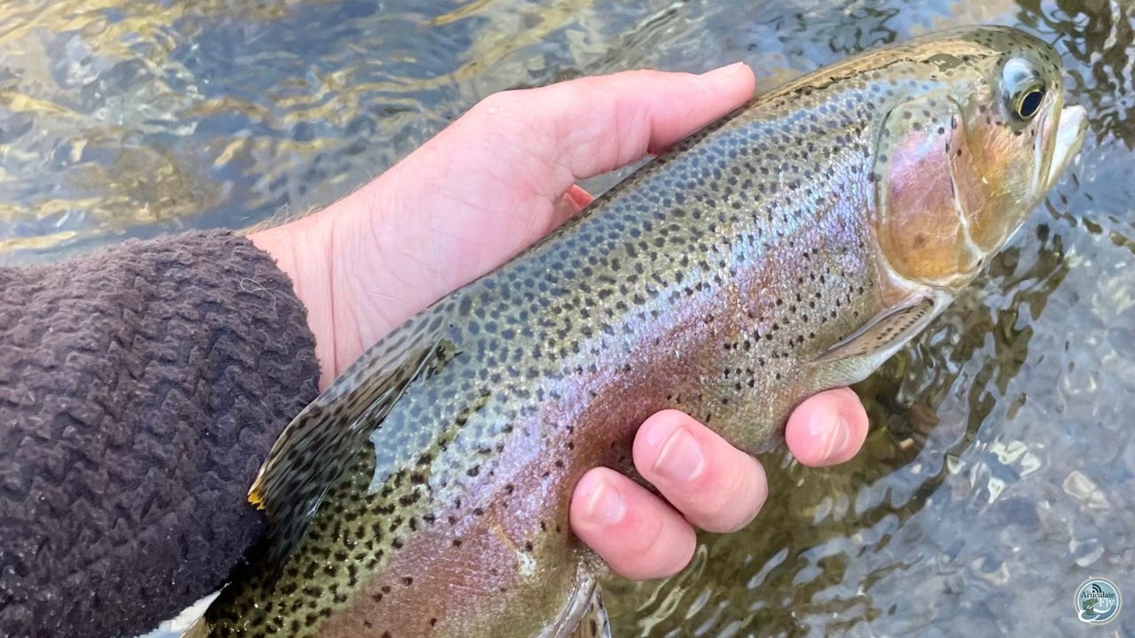 How To: Attach Backing To Fly Line Without A Welded Loop