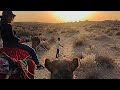 I camped in thar desert  amazing camel safari  india travel vlog 9