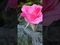 nature of beautiful ❤️❤️😍