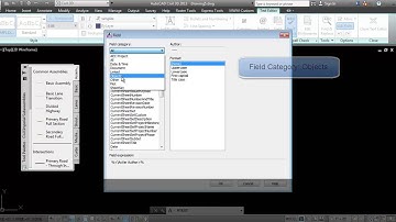 Using Fields To Report Assembly Names