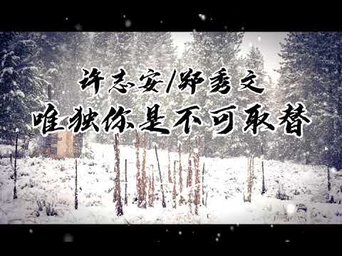 唯独你是不可取替 许志安郑秀文 最好聽粵語男女對唱歌曲 「无损音质」