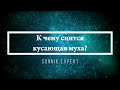 К чему снится кусающая муха - Онлайн Сонник Эксперт