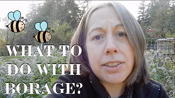 Can you eat borage leaf?
