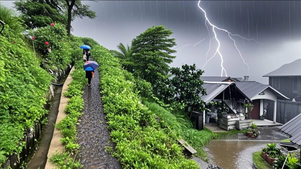 Сильный дождь в июле в пышной и зеленой сельской местности||Индонезийская сельская атмосфера