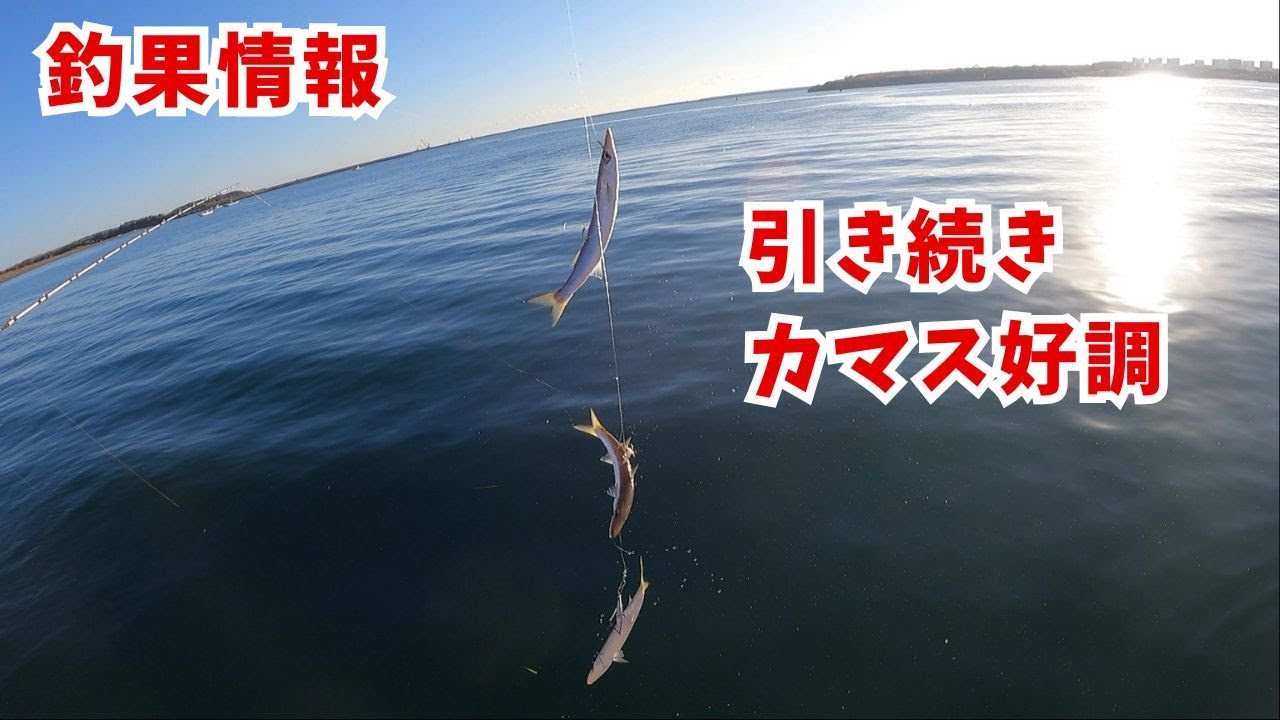 Fishing information: Barracuda, horse mackerel, and croaker