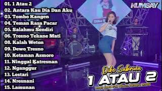 1 Atau 2, Antara Kau Dia Dan Aku, Tombo Kangen - Dike Sabrina Full Album Terbaru 2025 Dangdut Koplo