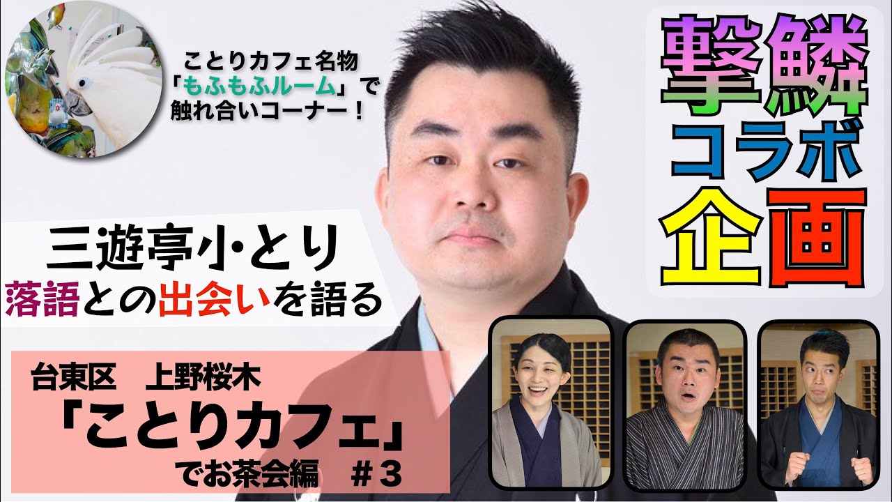 撃鱗コラボ企画 上野桜木 ことりカフェ 3 Youtube 撃鱗コラボ企画 上野桜木 ことりカフェ 3 Youtube