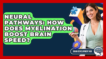 Neural Pathways: How Does Myelination Boost Brain Speed? - Brain Development Hub