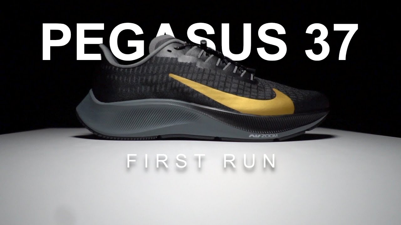 Nike Pegasus 37 - First Run