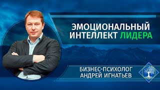 Эмоциональный интеллект лидера: что это?