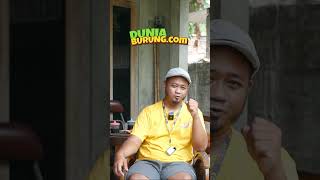 Cara Mengetahui Jumlah EF Jangkrik Ke Burung Cendet #cendet #perawatanburungcendet #cendetgacor