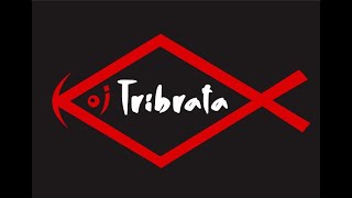 DJ MUSIC CAMPURAN VIRAL TIKTOK vol. 1 full BASS