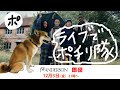 UNIQLO and JW ANDERSONをみんなでポチり隊