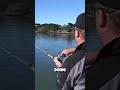 GIANT Kob in the River