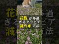 クラピアの花数を減らす方法と驚きの実験結果 #Shorts