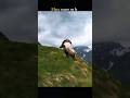 Bulleya рџ џрџ Ї Lyrics Song Bulleya Shorts Short Lyrics Song Music Lovestatus Viral Lyricssong Bulleya рџ џрџ Ї Lyrics Song Bulleya Shorts Short Lyrics Song Music Lovestatus Viral Lyricssong