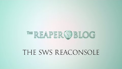 SWS ReaConsole Basic Overview