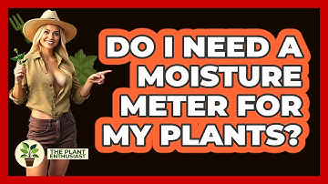 Do I Need A Moisture Meter For My Plants?
