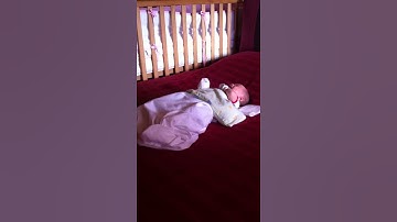 Charlotte demanding attention