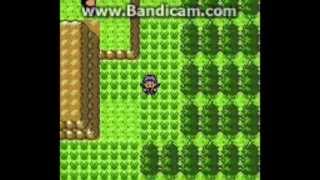 Pokemon crystal - 5 - Ruins of Alph and Route 32