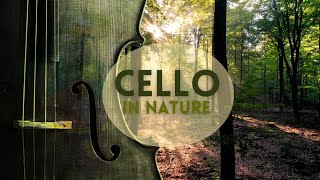 Morning Forest Bathing to Cello Melodies - Shinrin Yoku - Birds Chirping
