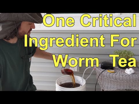 Don't Forget This Critical Ingredient When Brewing Worm Compost Tea