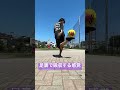 足裏で吸収する感覚 #フリースタイルフットボール