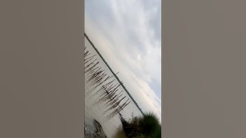 Thumbnail of Ordinary Song #newsong #trendingsong #newmusic #music