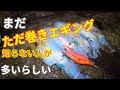 エギング編：昔の人はこうやって釣ってた。釣果をアップさせることができるかも！